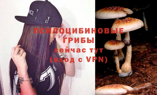 наркотики Гусь-Хрустальный