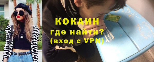 PSILOCYBIN Гусев