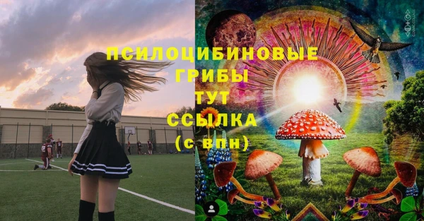 наркотики Гусь-Хрустальный