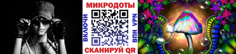 Купить где  Покровск  Галлюциногенные грибы Psilocybe 